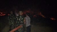 IMG-20260922-WA0056